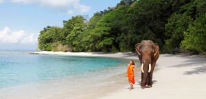 Things to avoid while traveling to Andaman - Andamans Tour