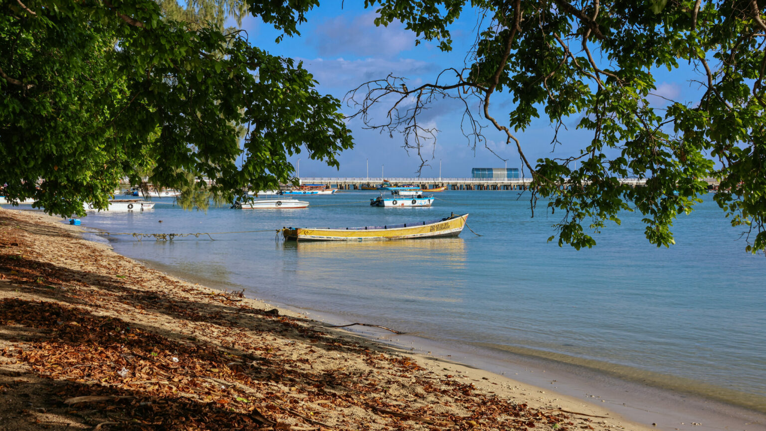 Bharatpur Beach In Neil island