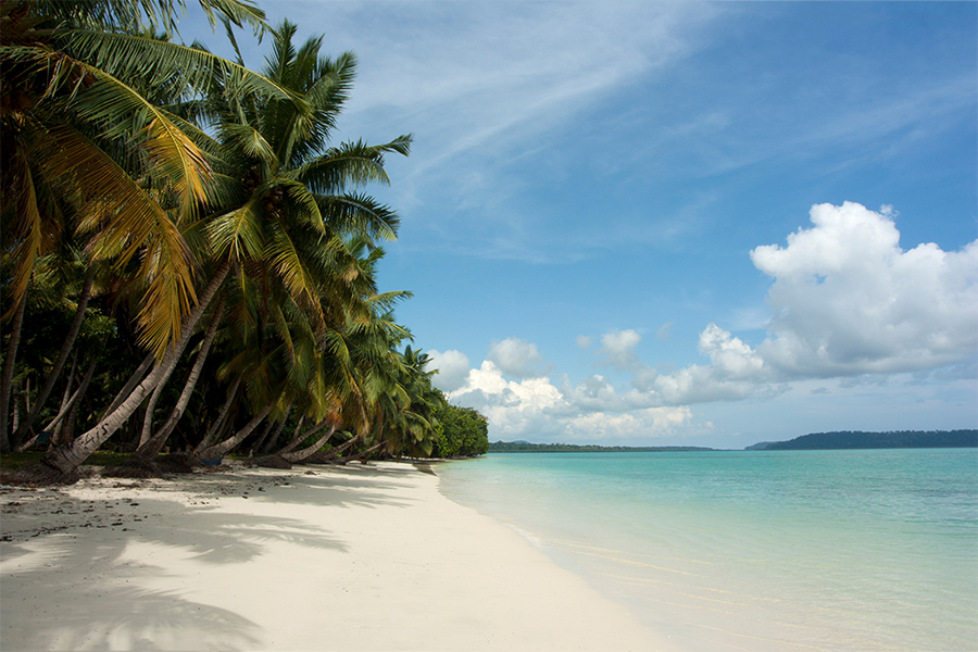 Vijay Nagar Beach