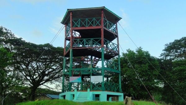 Yerrata Mangrove Park and Watch Tower